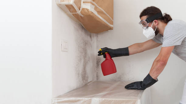 Professional Mold Removal technician working in Temperanceville, VA