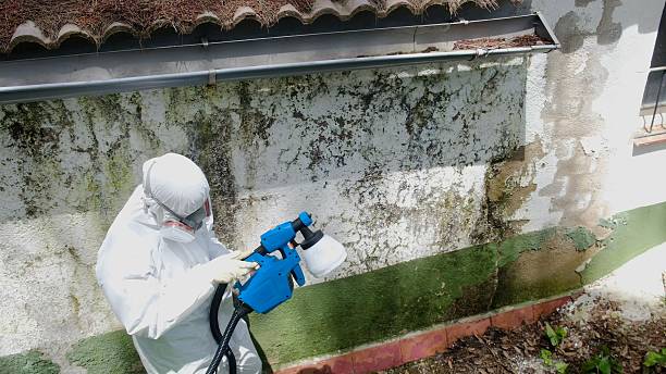Top rated local Mold Remediation specialists in Temperanceville, VA